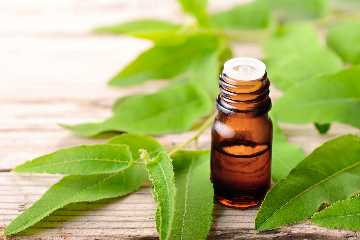 Peut-on utiliser l'huile essentielle d'Eucalyptus Citronné en