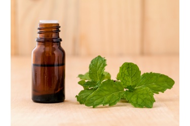 bigstock-bottle-of-mint-essential-oil-o-99287495