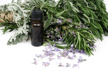 bigstock-rosemary-and-other-mediterrane-26051072