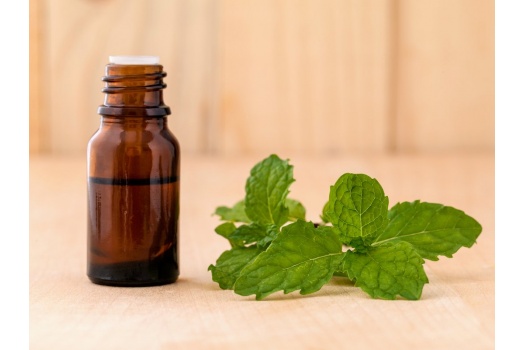 bigstock-bottle-of-mint-essential-oil-o-99287495